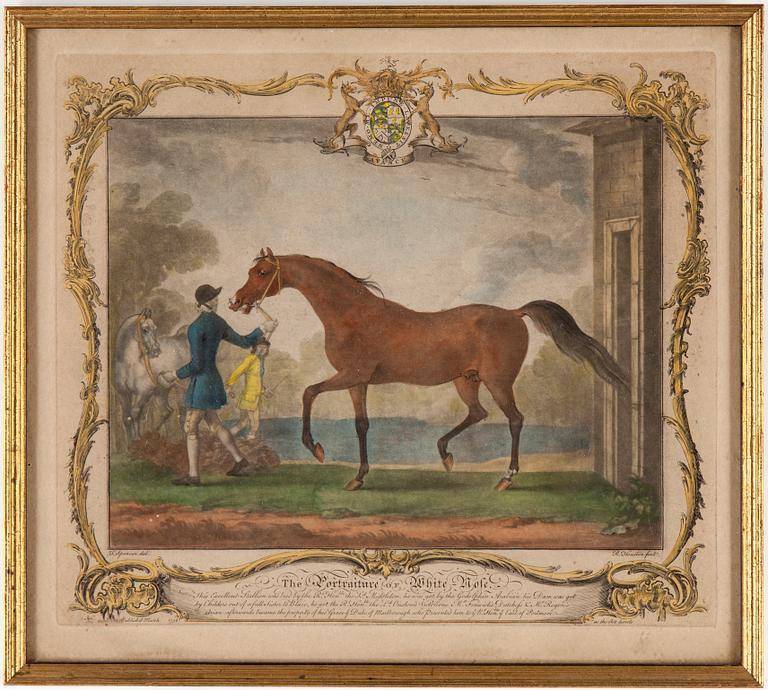 RICHARD HOUSTON, efter, 6 st, mezzotintetsningar, daterade i tryck 1755 respektive 1756.