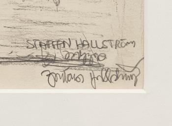 Staffan Hallström, Untitled.