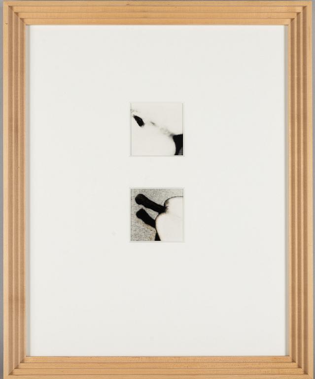 Martina Leo, Diptyk ur verket "Lustsvit", 1999.