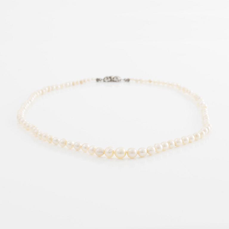 Pearl necklace, with cultured pearls, clasp in white metal with marcasites.