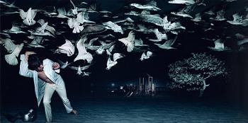 336. Tim White-Sobieski, "Running from Birds", 2007.