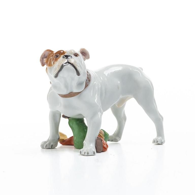 Meissen, A porcelain "Bulldogge mit Kasperle" figurine, 20th century.