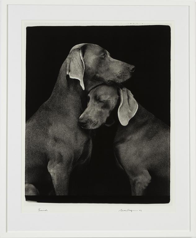 William Wegman, archival pigment print, 2009, signerat. Numrerat 256/1500 a tergo.