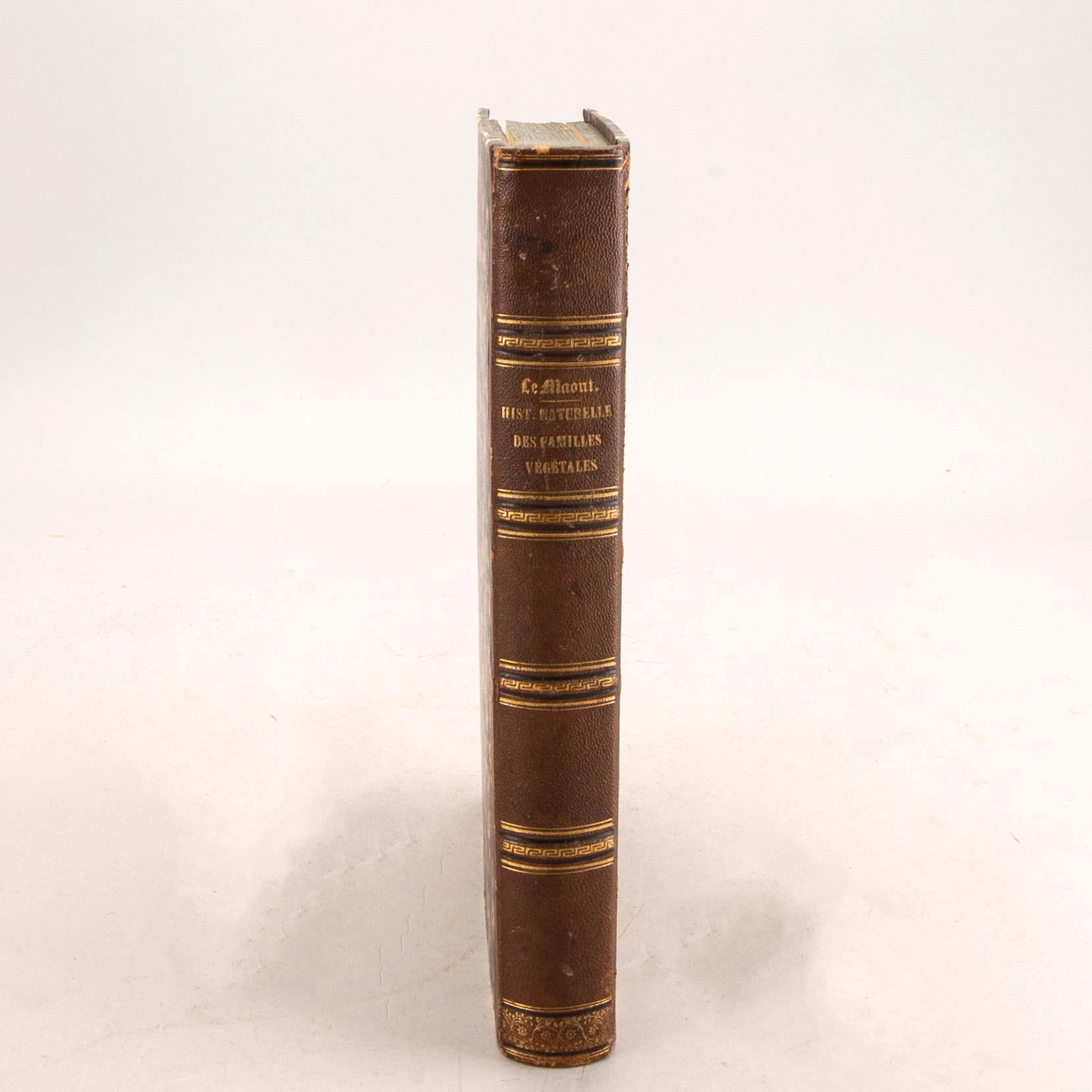 Emmanuel Le Maout, book 'Botanique. Organographie... Histoire naturalle', Paris 1855.
