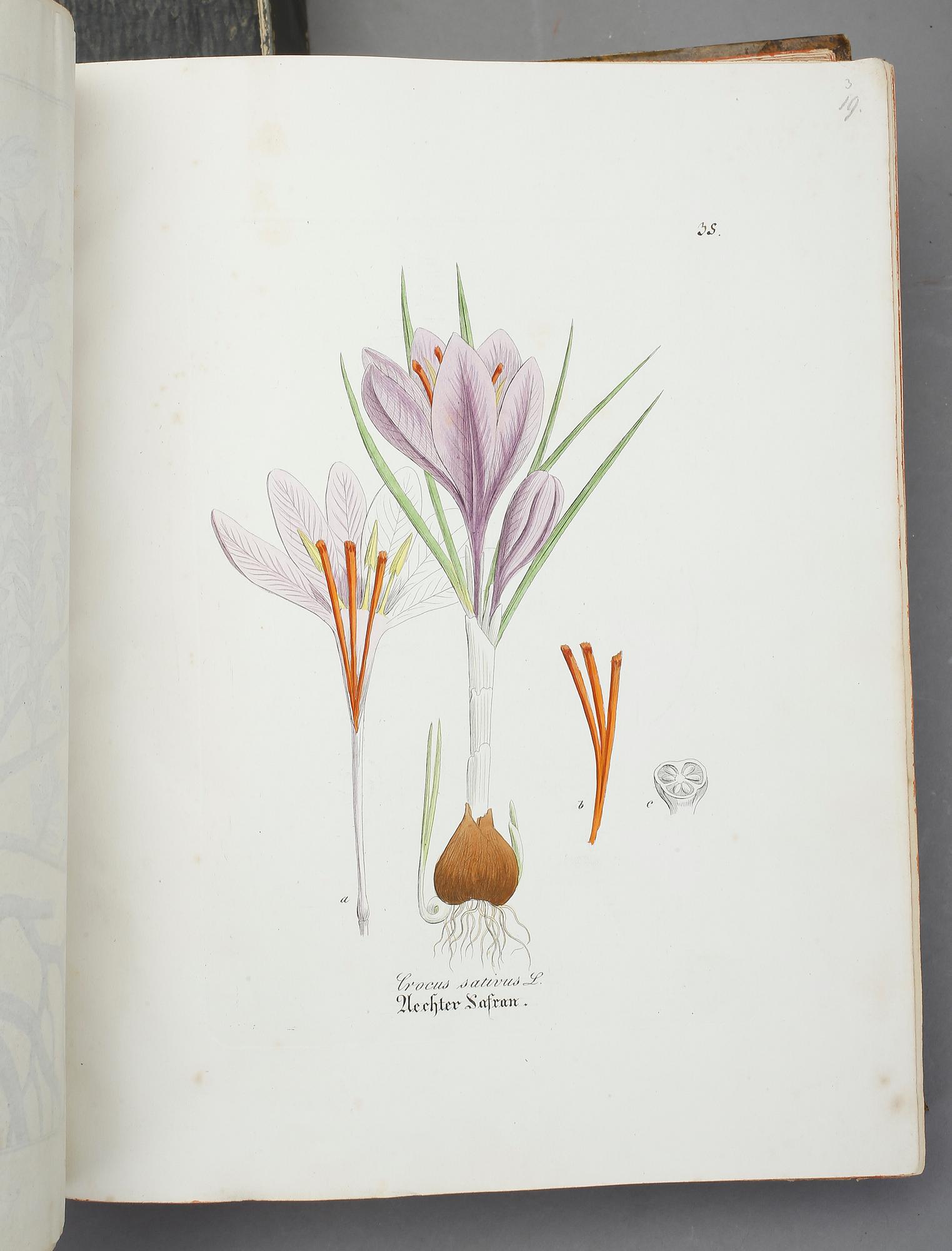 FRIEDRICH GOTTLOB HAYNE, 4 vol i 2, Darstellung und Beschreibung der Arzneygewächse.., Berlin resp Leipzig 1829-1848.