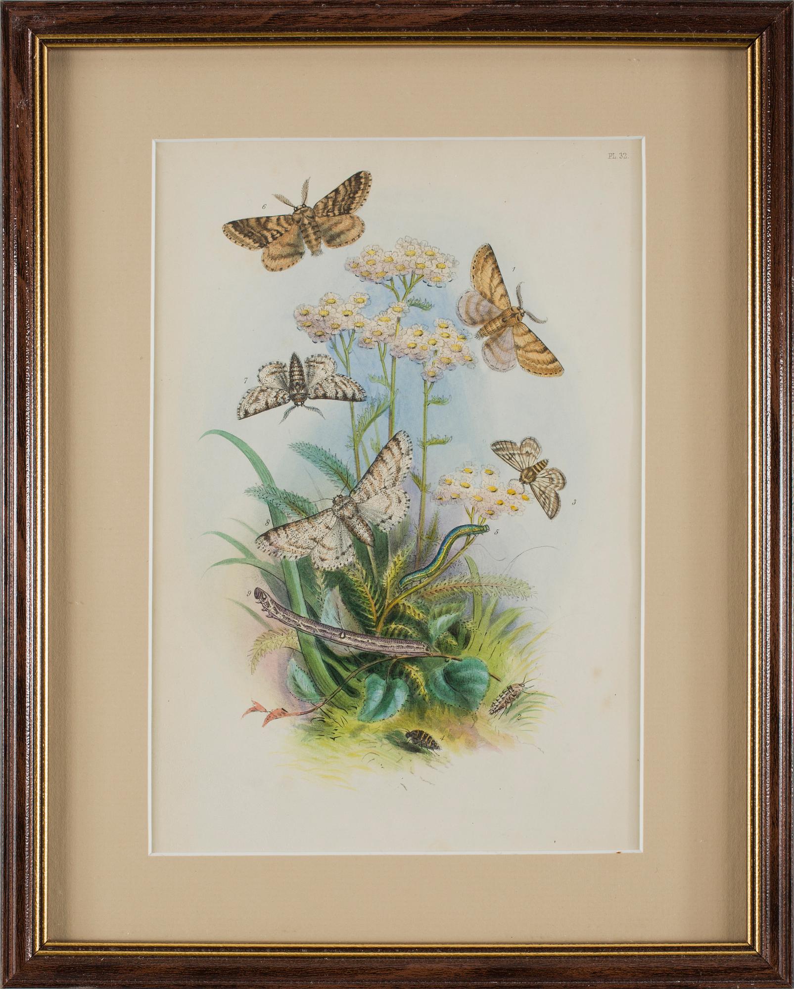 HANDKOLORERADE LITOGRAFIER, 6 st, Humphries, England, 1800-talets mitt.