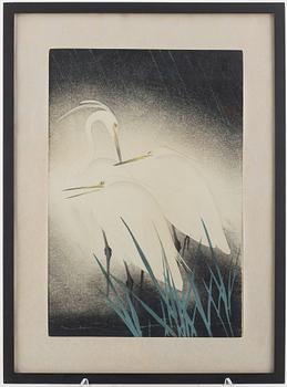 Kosei Hashimoto, "Herons".