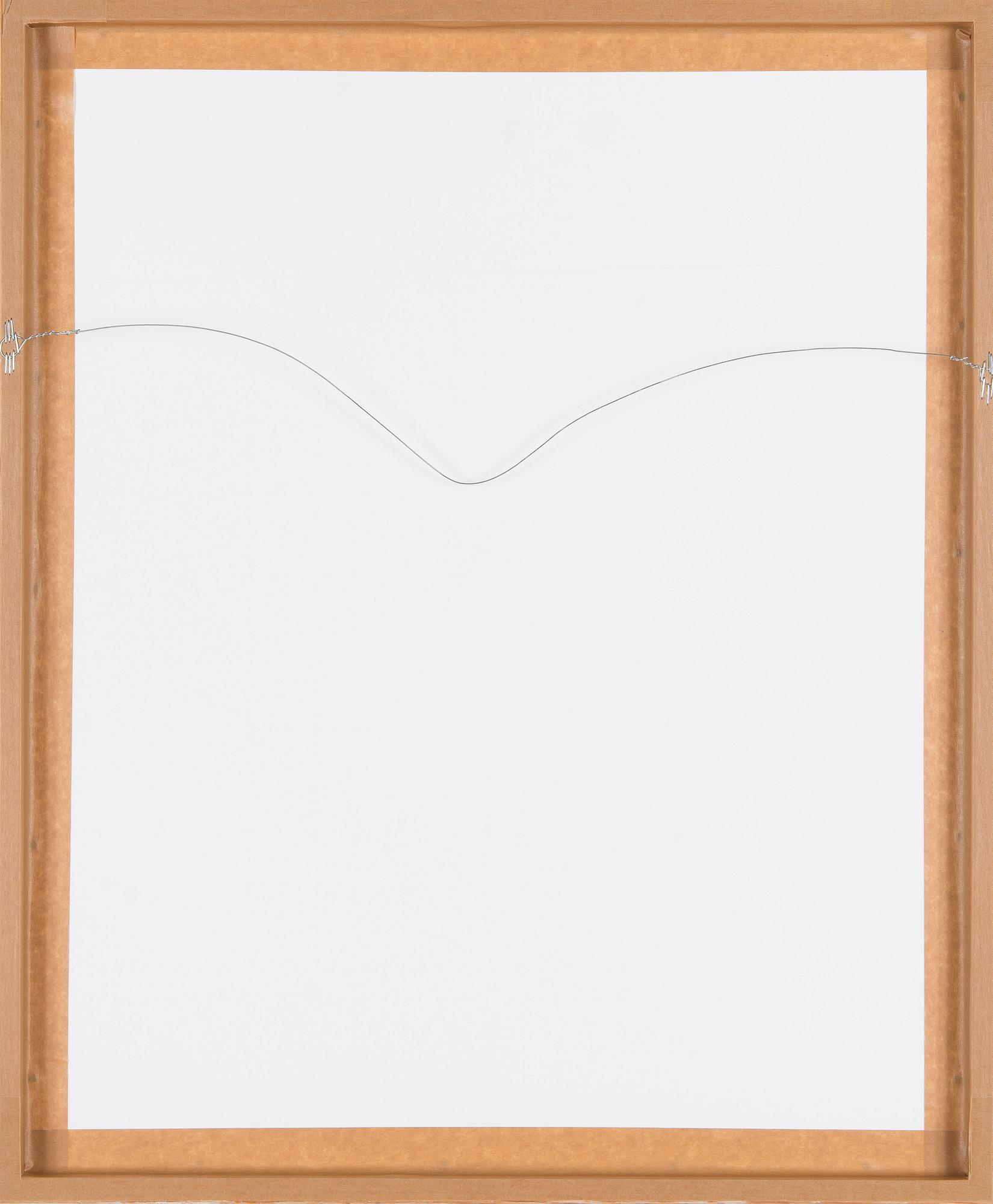 Canal Cheong-Jagerroos, Sommitelma.