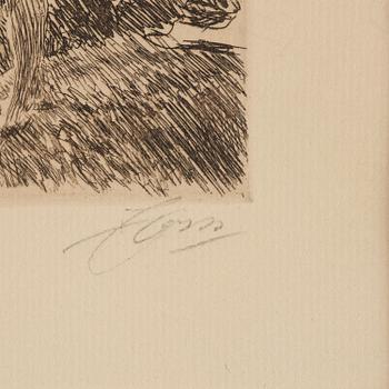 Anders Zorn, "Hårtång".