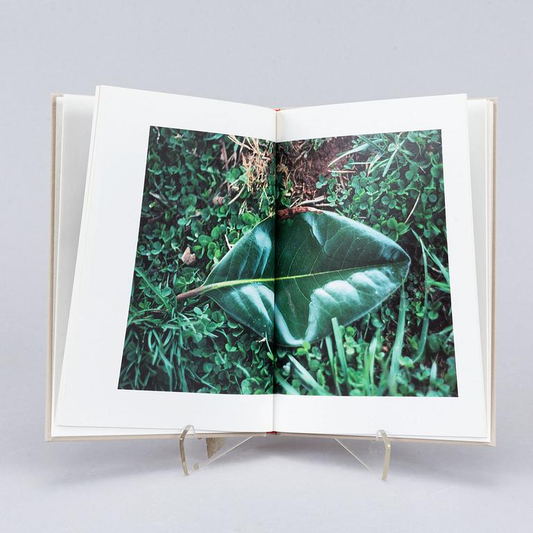 Terri Weifenbach, photo book in limited edition.