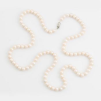 Pearl necklace cultured pearls, clasp in 18K white gold.