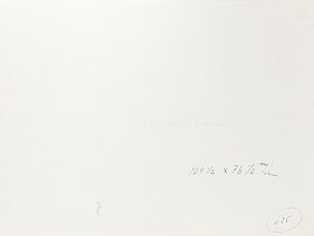 LENNART NILSSON, vintage silvergelatin fotografi. Stämpelsign a tergo.