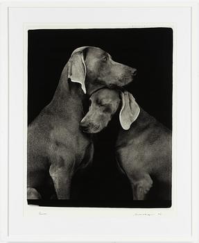 William Wegman, "Friends".