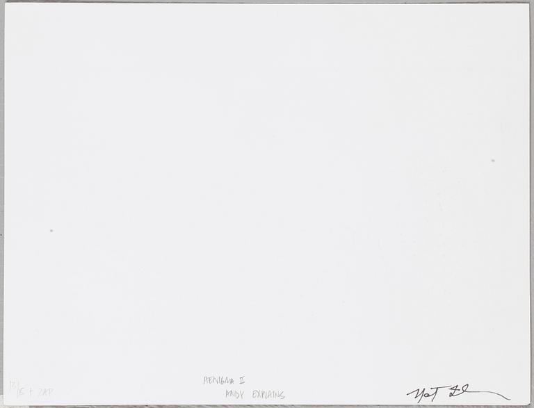 NAT FINKELSTEIN, Digital print (5 st), sign och dat och numr 13/15 a tergo.