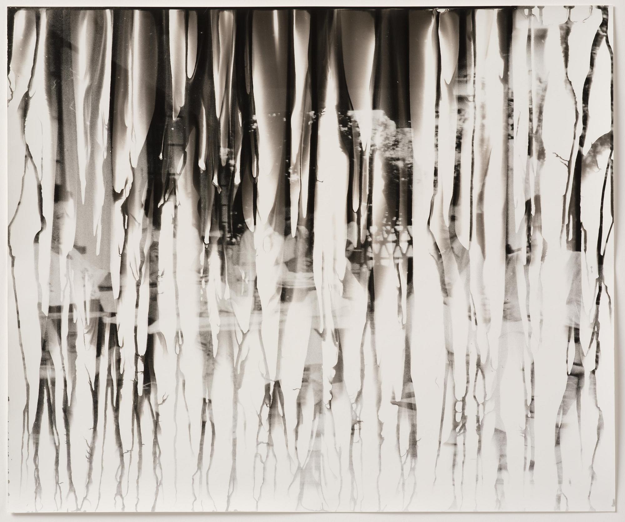 Iñaki Bonillas, "The Rain Came Last", 2013.