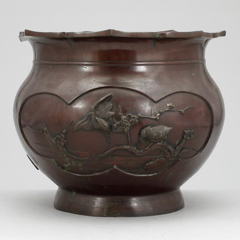 YTTERFODER, orientalisk, 1900-talets första hälft.