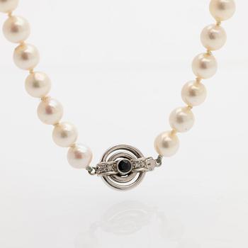 Pearl necklace, white gold clasp set with diamonds and a sapphire.