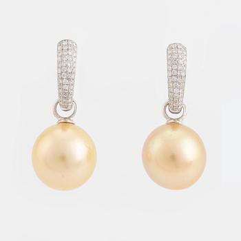 South sea pearl and brilliant cut diamond earrings.