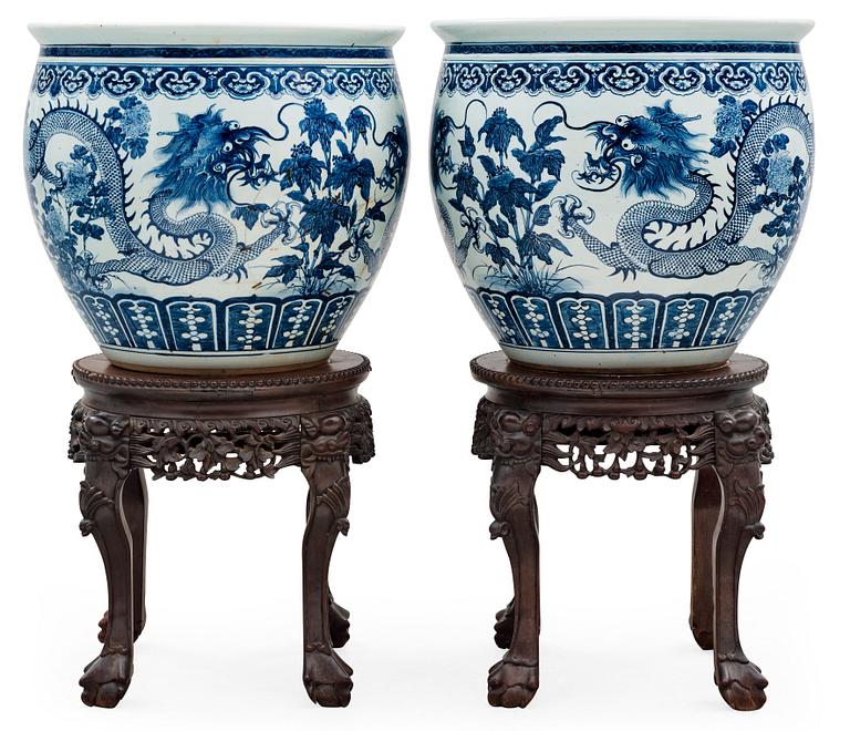 A pair of large blue and white fish basins/flower pots, late Qing dynasty, circa 1900.