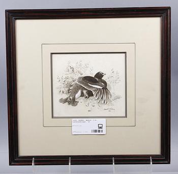 WIBERG, HARALD, 2 st, tuschteckningar.