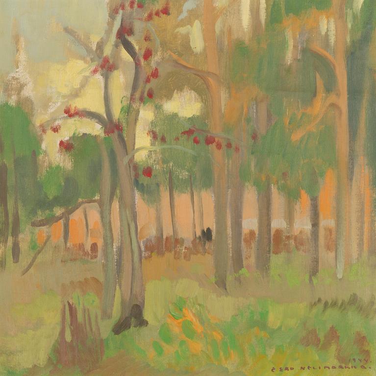 Eero Nelimarkka, Parkvy.