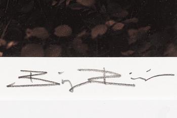 Bingo Rimér, Victoria Zorn.