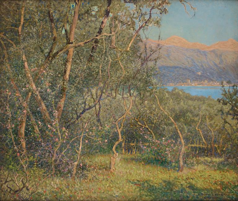 Anshelm Schultzberg, Summer at Lake Como.