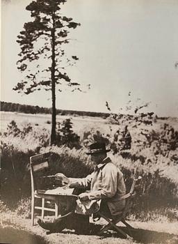 Bruno Liljefors, Pine.