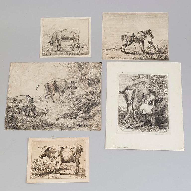 5 engravings, 18th century, amongst others C P Berghem and van der Velde.