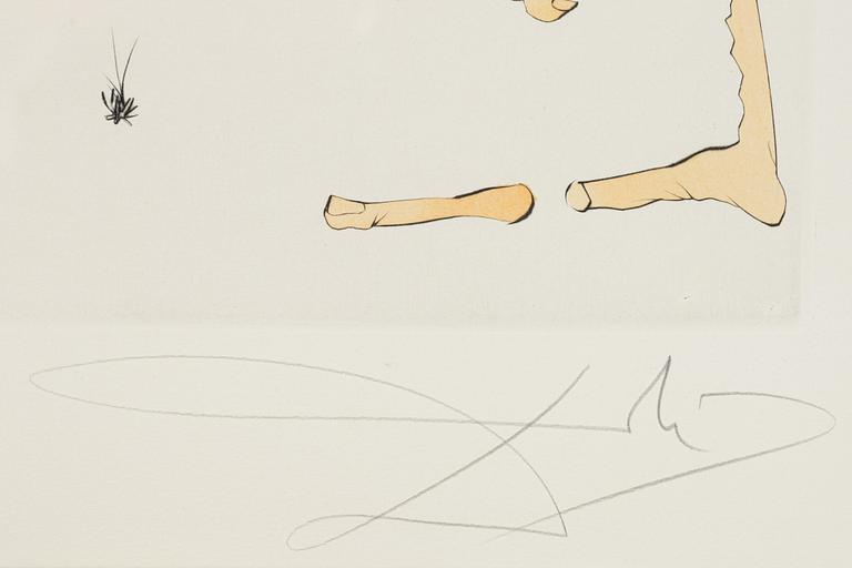Salvador Dalí, Dalí, drypoint coloured with stencil, 1975, signed 266/300.