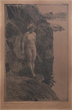 Anders Zorn, a signed etching from 1909.