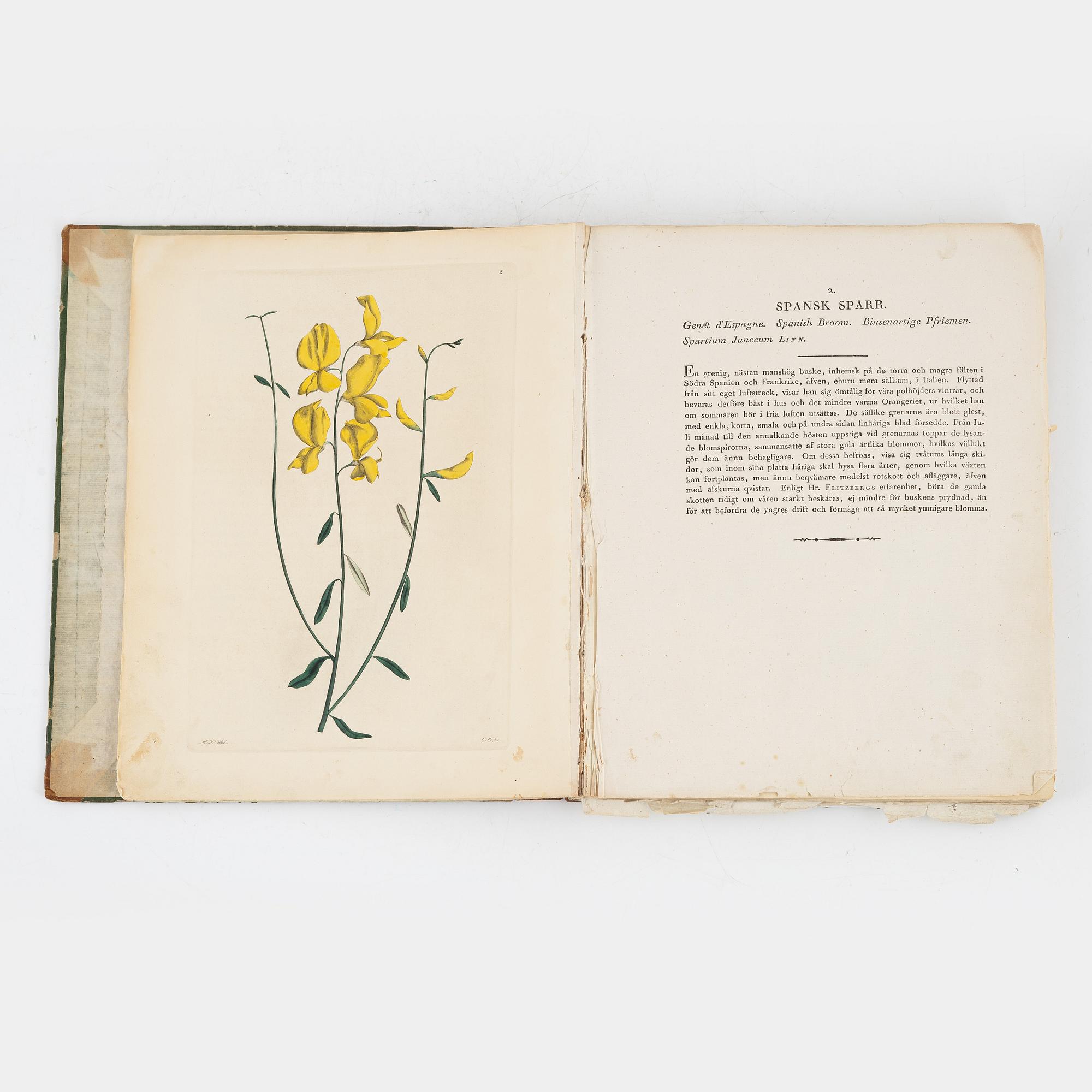 35 vackra blomsterplanscher.
