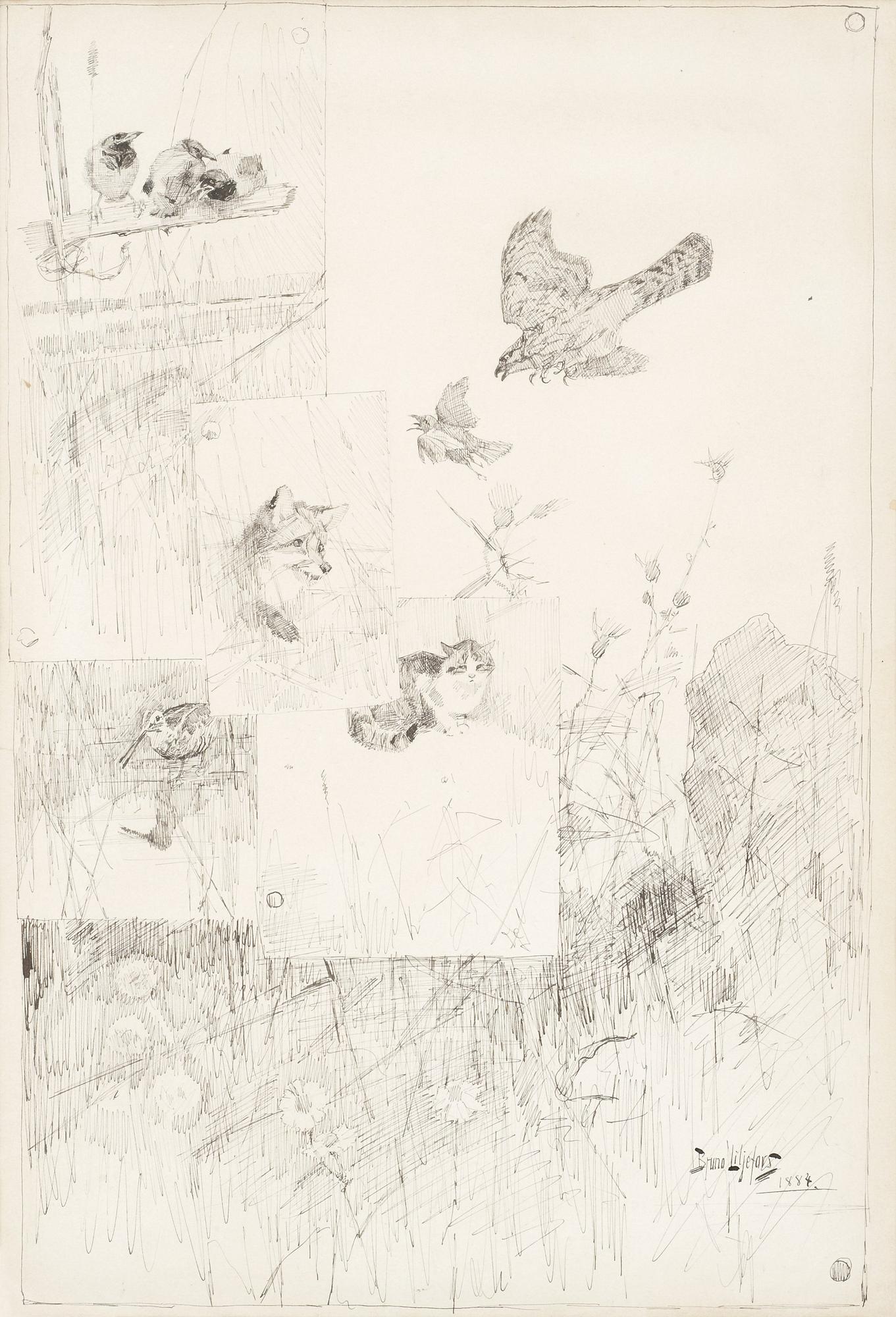 Bruno Liljefors, "Djurstudier" (Wildlife studies).