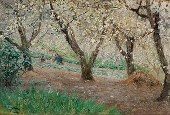 21. Anshelm Schultzberg, "Blommande fruktträd, Surèsnes" (Blossoming fruit trees, Surèsnes).