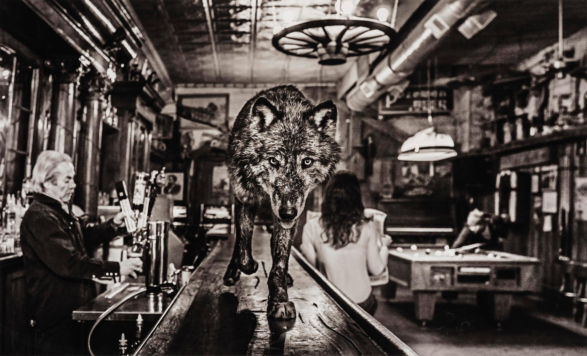 David Yarrow, "The Wolf Of Main Street II", 2015.