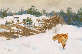 24. Bruno Liljefors, Fox in winter landscape.