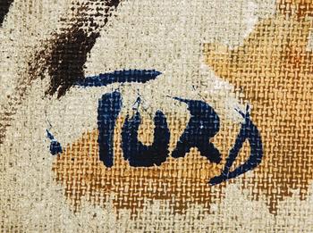 Tord Leander-Engström, Fjällandskap.