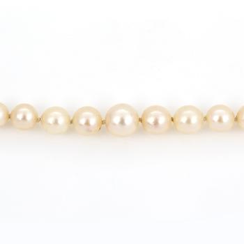 COLLIER, odlade saltvattenspärlor, lås i silver.