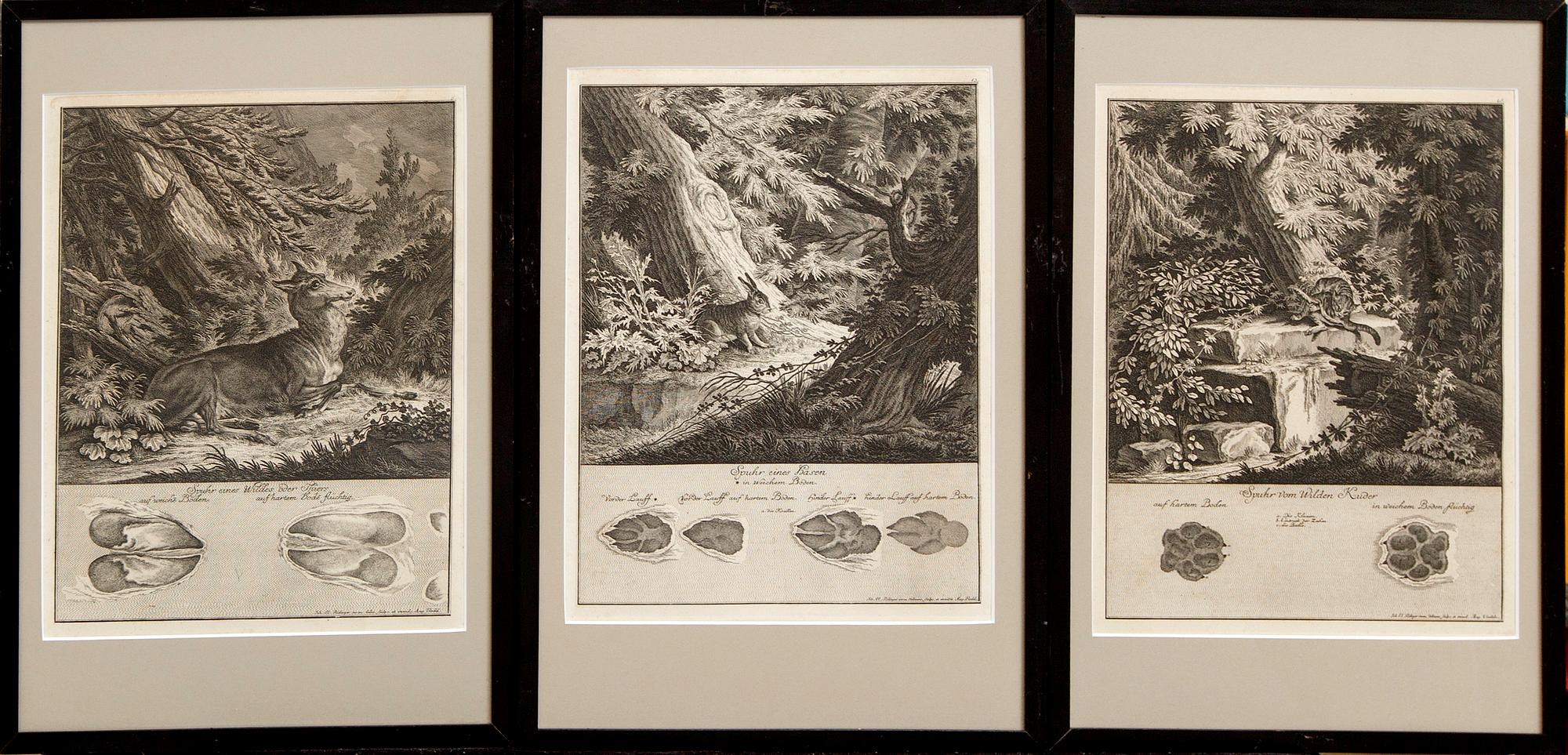 Johann Elias Ridinger, six copper engravings, Germany 18th Century.