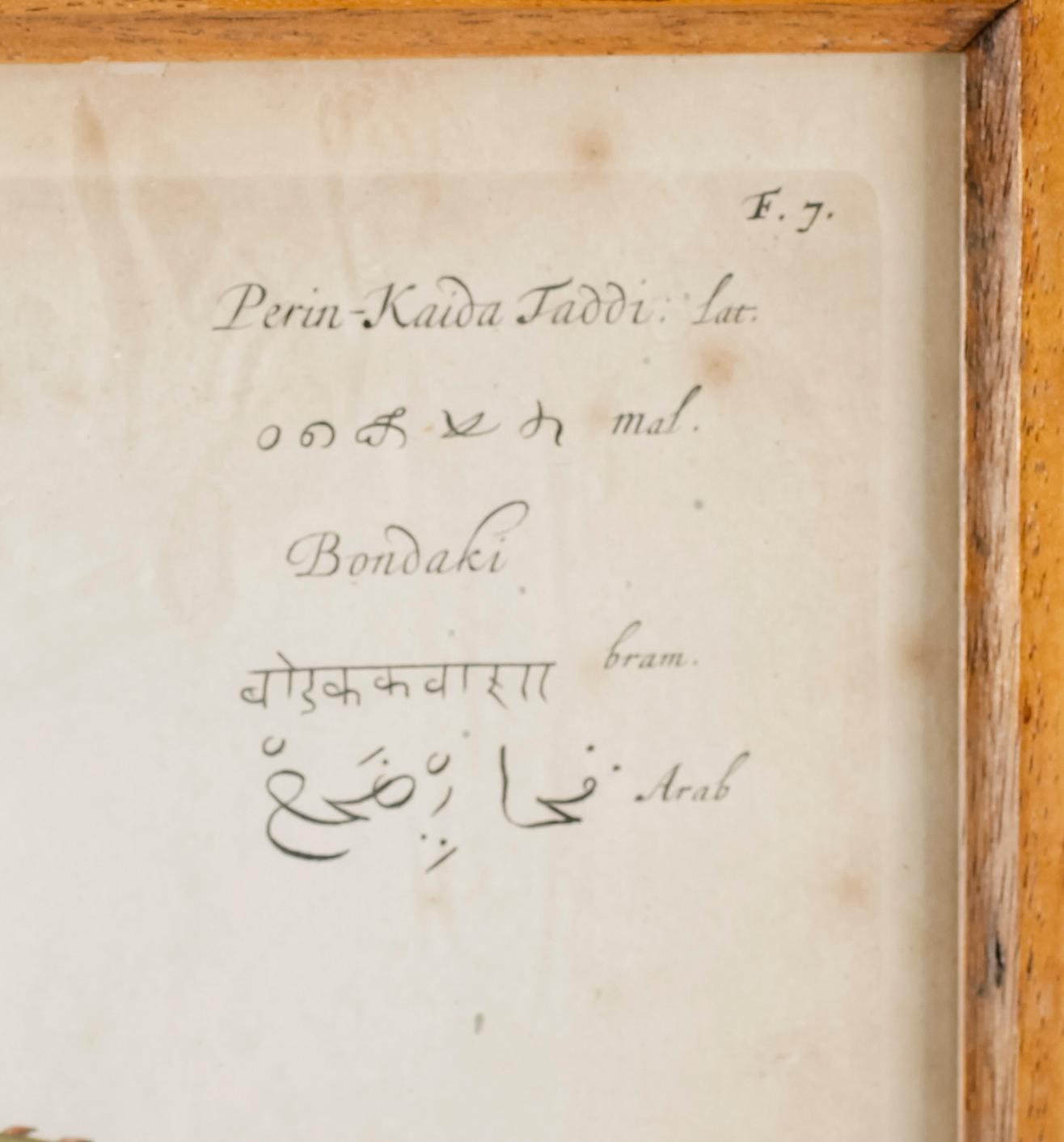 KOPPARSTICK, efter Stoppendael, 2 st,  kolorerade, 1600-/1700-tal.