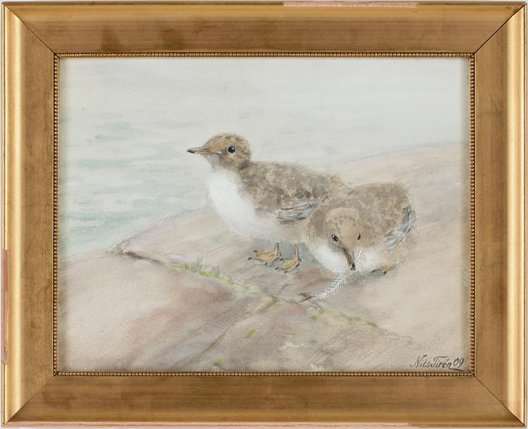 NILS TIRÉN, akvarell på papper, sign o dat -09.