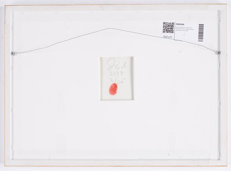 Dawid (Björn Dawidsson), fotografi, 2017, signerad och numrerad 3/25.