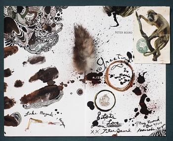 Peter Beard, "Lake Magali, Kenya".