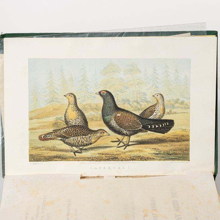 Collection of older books on hunting.