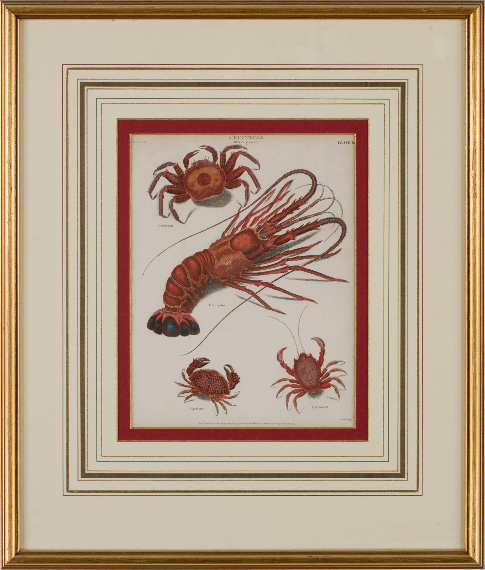 GRAVYRER, 4 stycken, tryck av Longman Hurst, Rees, Orme & Brown, Paternoster Row, tidigt 1800-tal..