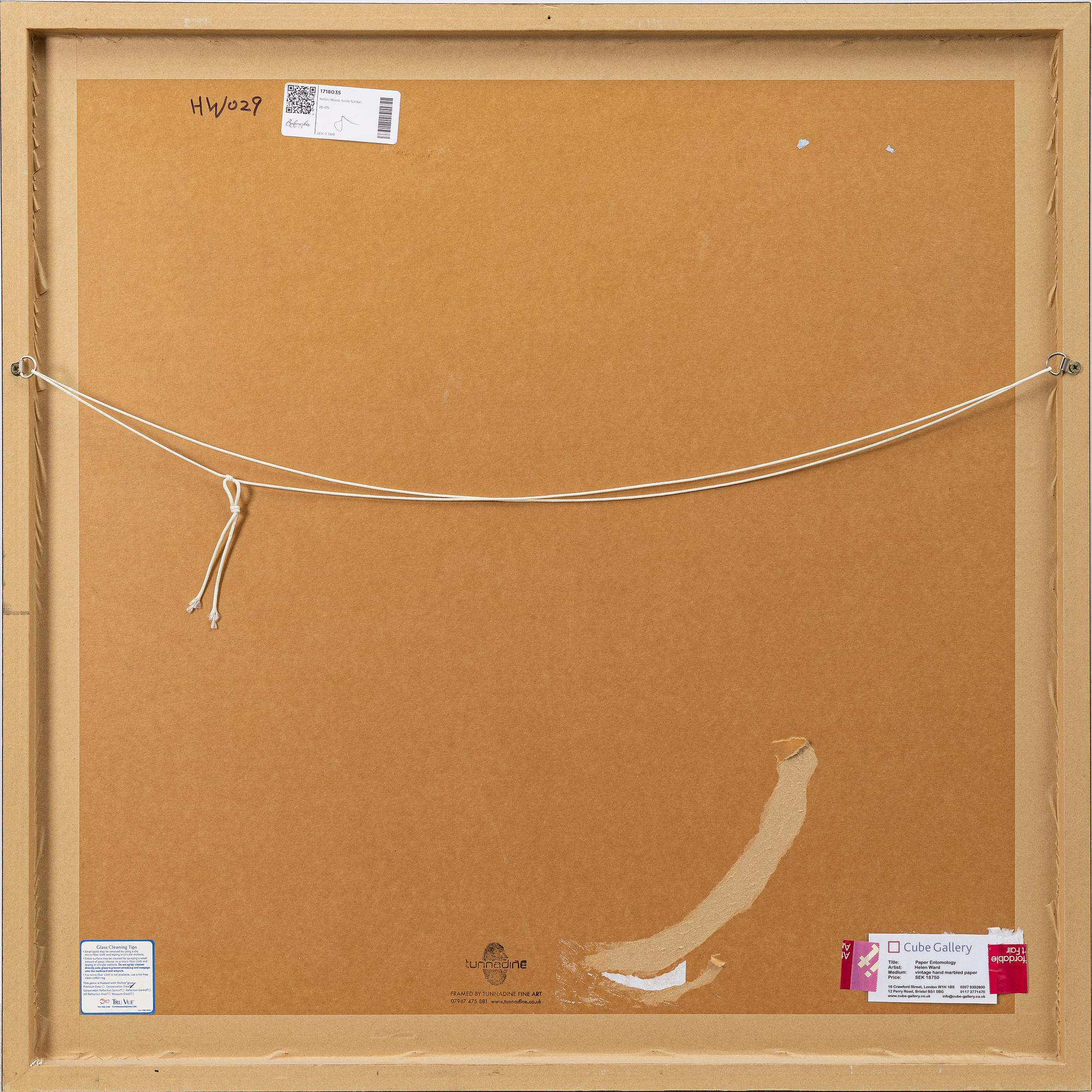 Helen Ward, "Paper Entomology".