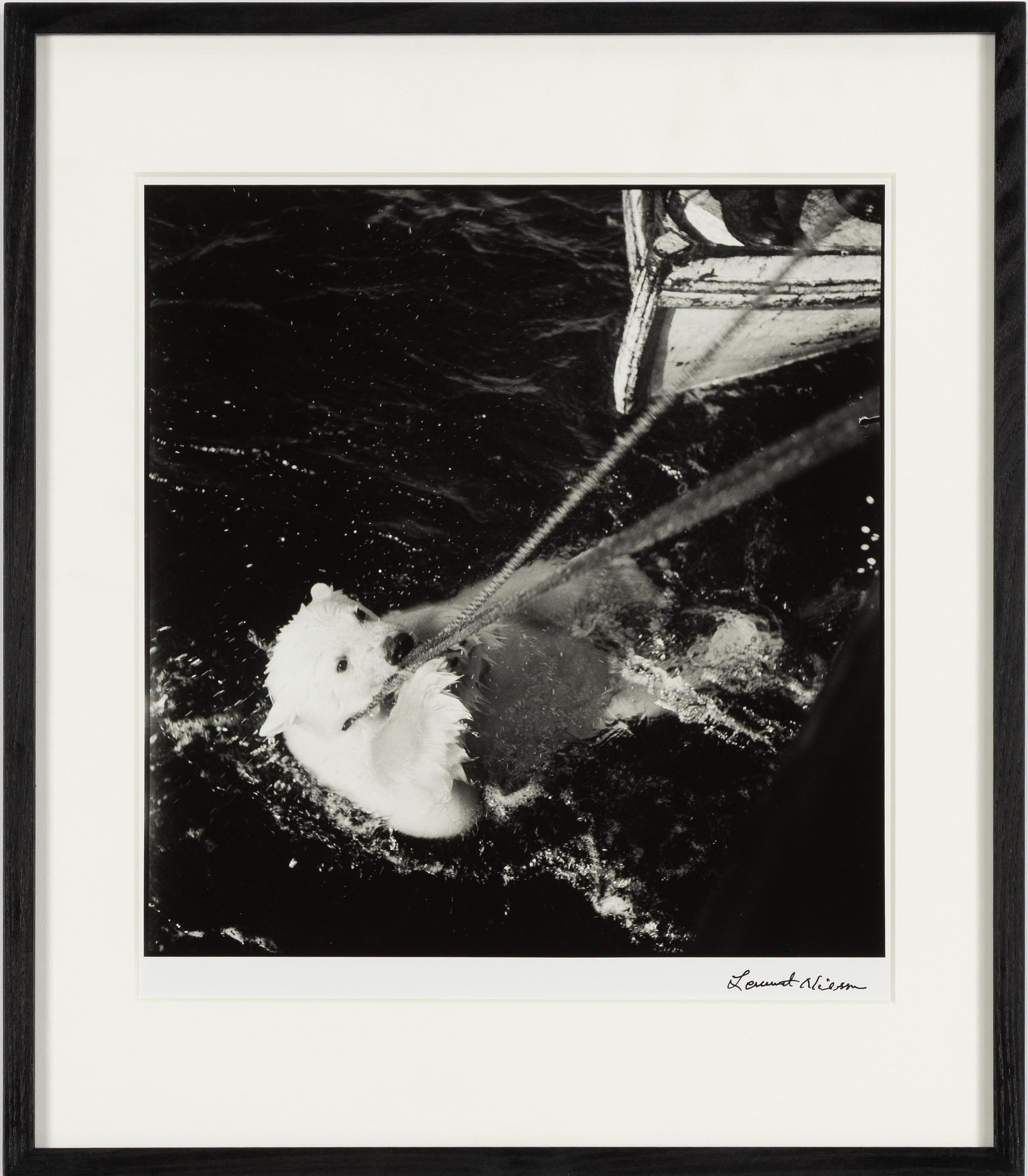 Lennart Nilsson,  "Isbjörnsjakt vid Hvitøya (Vitön), Svalbard, Norge 1947".