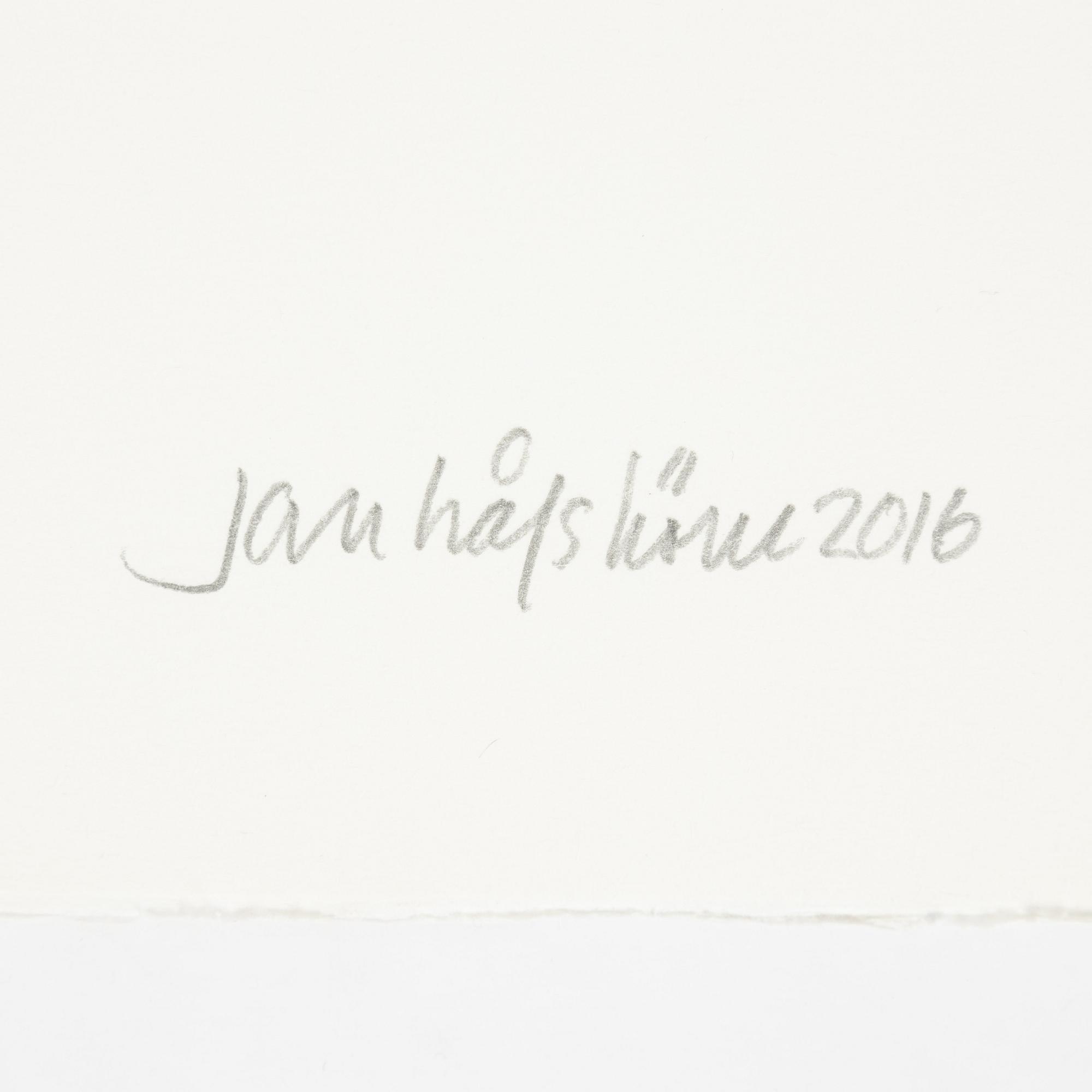 Jan Håfström, etching in colours, 2016, signed 32/50.