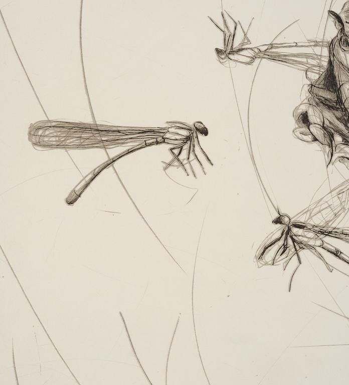 Linn Fernström, Girl in a bird's nest.