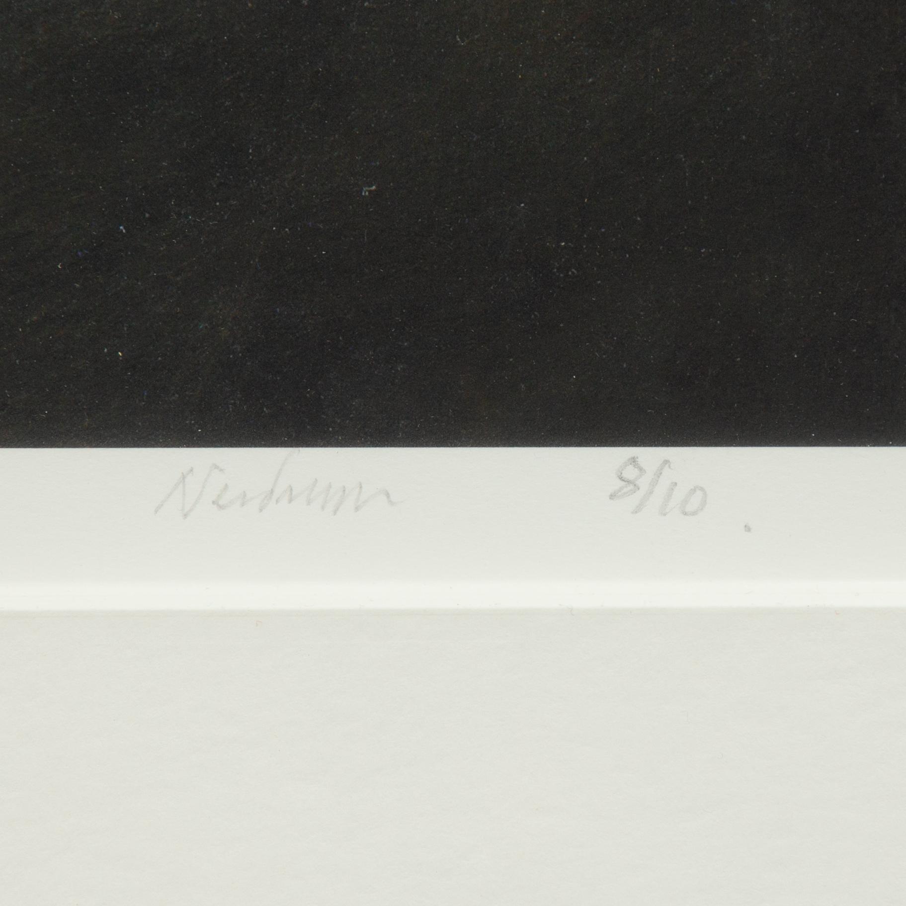 Odd Nerdrum, Resting horse.